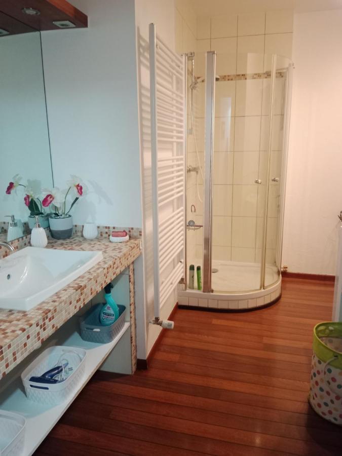 Au Repit Centre Thermes Luxeuil T3 מראה חיצוני תמונה